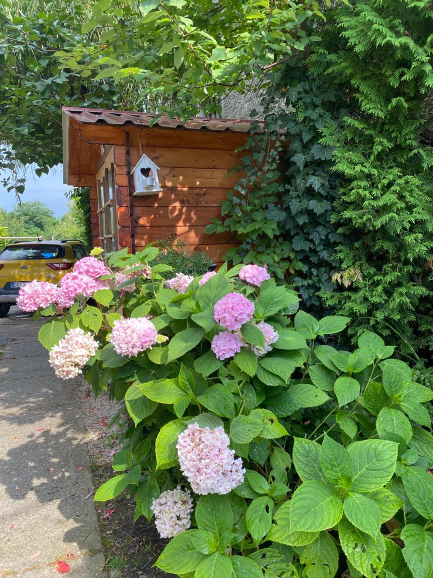 Apartment Hiza 38 Mala Subotica Екстериор снимка