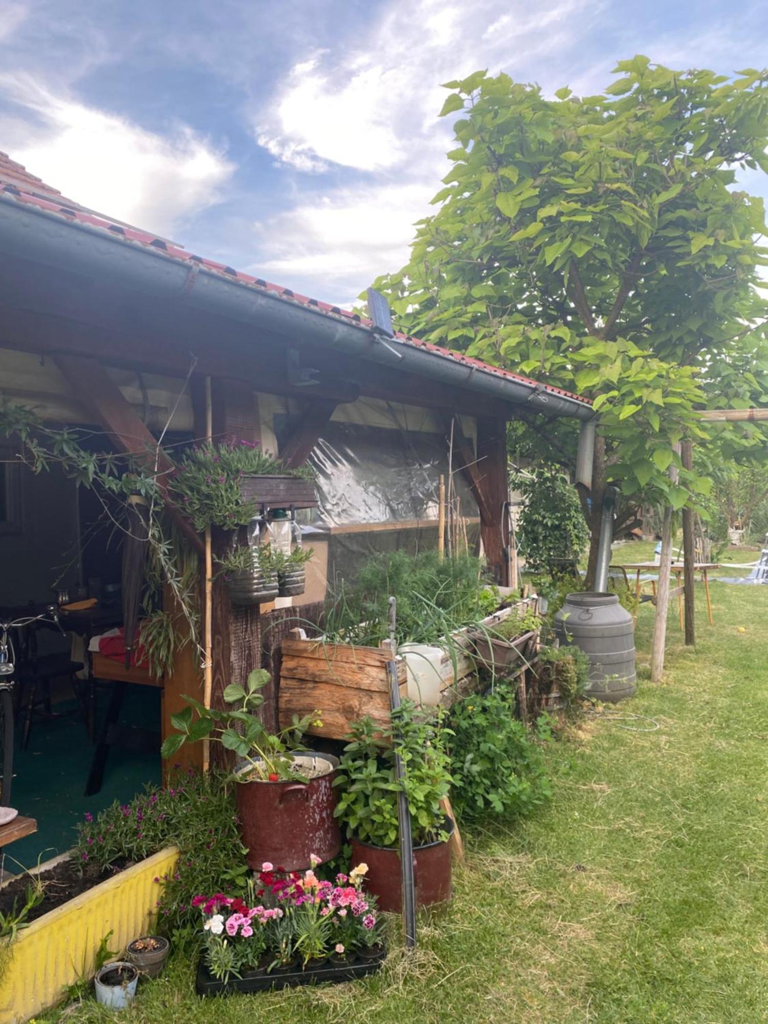 Apartment Hiza 38 Mala Subotica Екстериор снимка